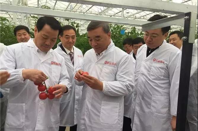 南宫NG·28(中国)相信品牌力量有限公司
